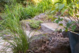 Ben Saunders Landscapes