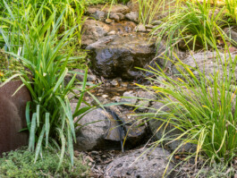 Ben Saunders Landscapes