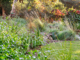 Ben Saunders Landscapes