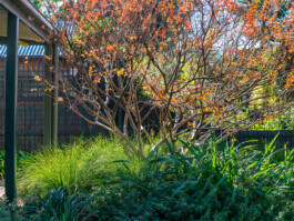 Ben Saunders Landscapes