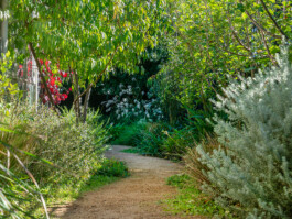 Ben Saunders Landscapes