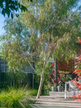 Ben Saunders Landscapes