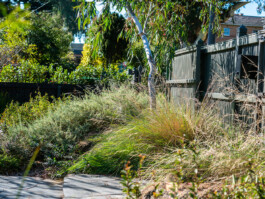 Ben Saunders Landscapes