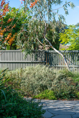 Ben Saunders Landscapes