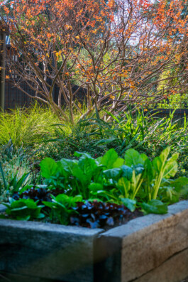 Ben Saunders Landscapes