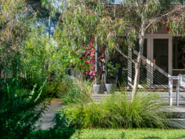 Ben Saunders Landscapes