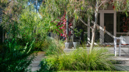 Ben Saunders Landscapes