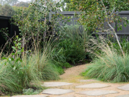 Ben Saunders Landscapes