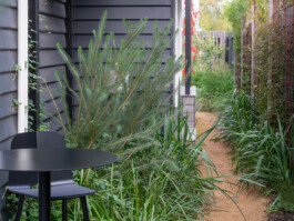 Ben Saunders Landscapes