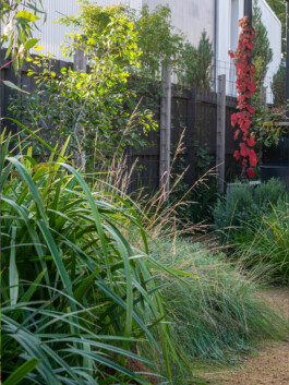 Ben Saunders Landscapes