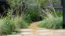 Ben Saunders Landscapes