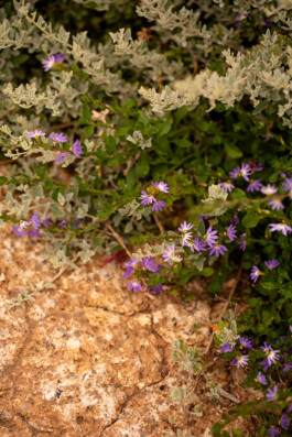 Ben Saunders Landscapes