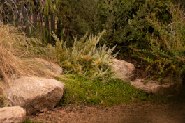 Ben Saunders Landscapes