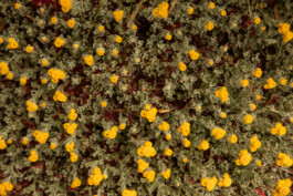 Ben Saunders Landscapes