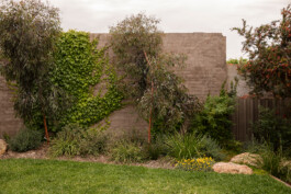 Ben Saunders Landscapes