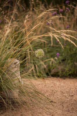 Ben Saunders Landscapes