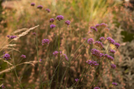 Ben Saunders Landscapes