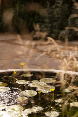 Ben Saunders Landscapes