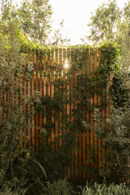 Ben Saunders Landscapes